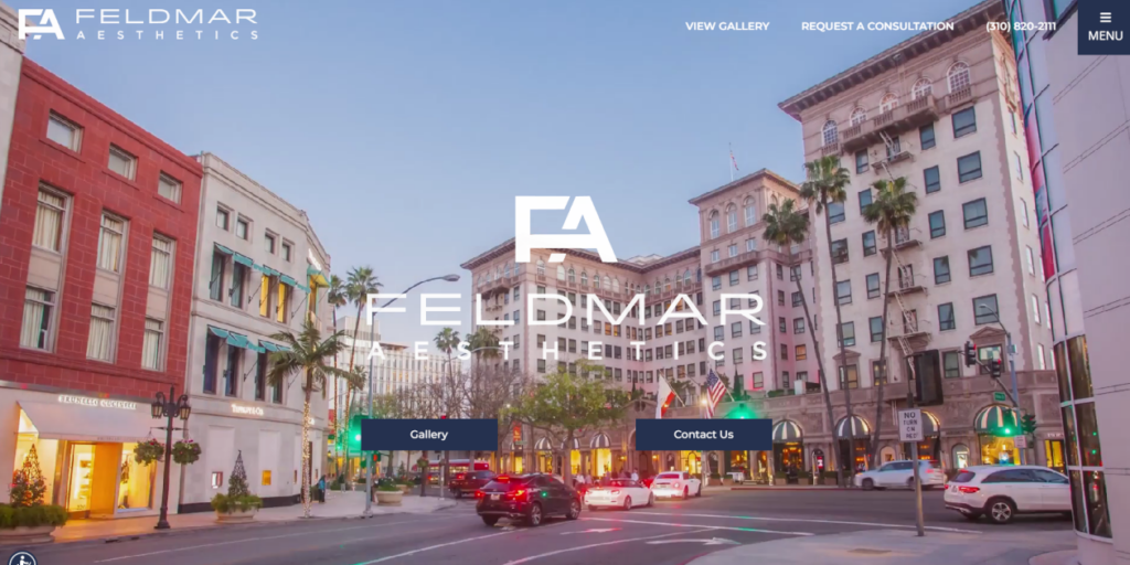 Feldmar Aesthetics Aesthetic Brand Marketing